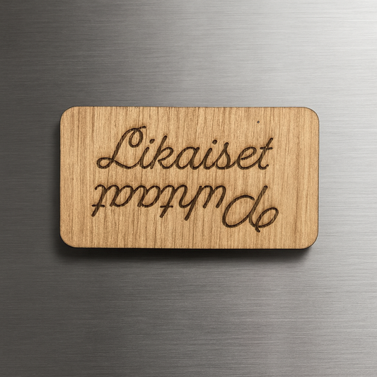 Astianpesukoneen magneettikyltti